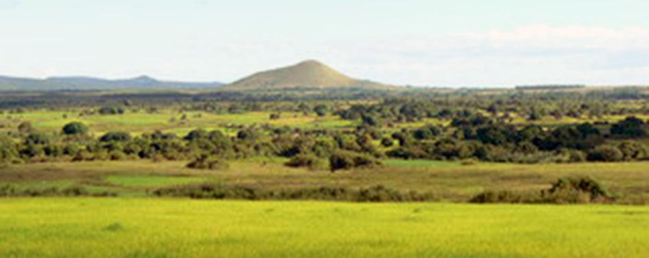PLAINE